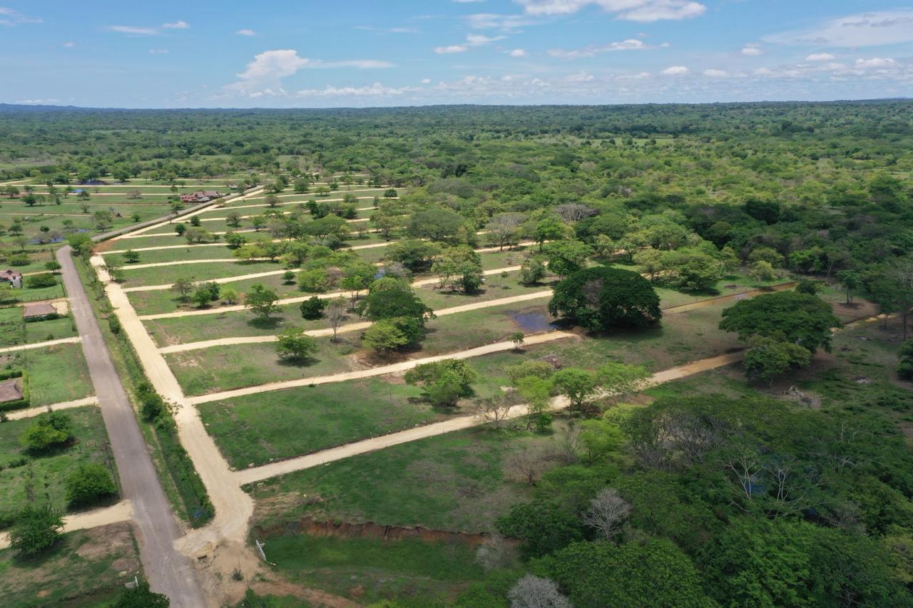 Bosques-de-Pontevedra-Promotora-Ponteverda-2