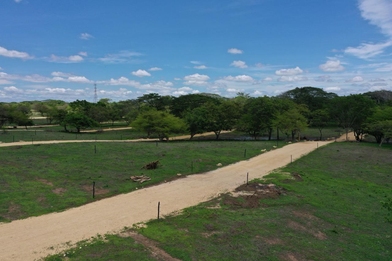 Bosques-de-Pontevedra-Promotora-Ponteverda-4